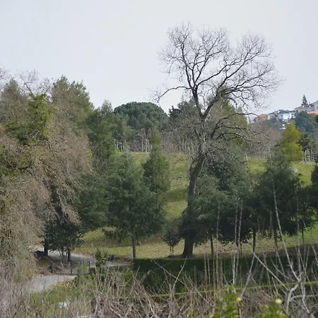 Casa Da Encosta - Quinta Da Costa *