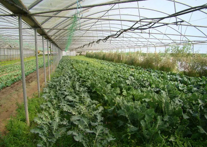 Casa Da Encosta - Quinta Da Costa * Vila Nova de Famalicão