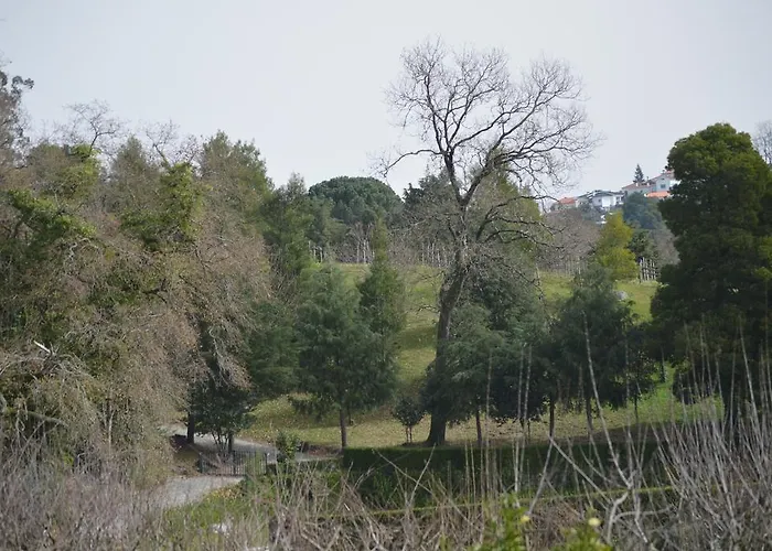 Casa Da Encosta - Quinta Da Costa *